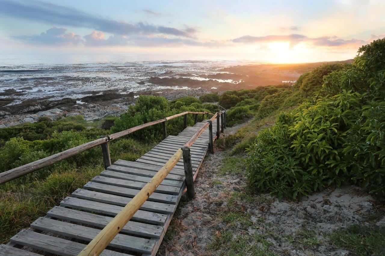 Walker Bay Manor Mansion Pty Hotel Hermanus Eksteriør billede